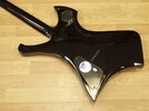 Picture_6262.jpg