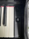 IMG_7792.jpeg
