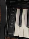 IMG_7793.jpeg