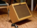 Fender Blues Junior Lacquered Tweed inkl. Tilt Back Legs + Switch