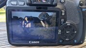 IMG-20230908-WA0003.jpg