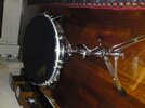 DSC00095.jpg