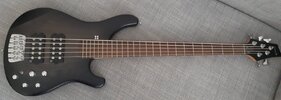 Verkaufe Sandberg Basic Ken Taylor 5-Saiter-Bass