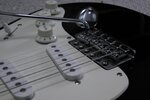 Squier_2.jpg