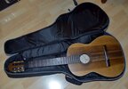 Gitarre mit Tasche.jpg