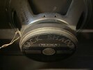 IMG_5232.jpg