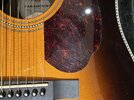 IMG_2581.jpeg