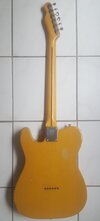 squier7.jpg