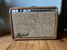 Amp Verstärker Legend Rock 'n' Roll 50 Hybrid ZZ Top Eliminator