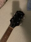 IMG_0137.jpeg