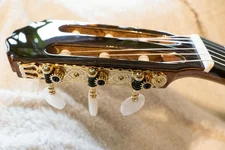 Takamine T90_16 - Kopie.webp