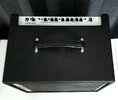 AER Bassline Amp Three