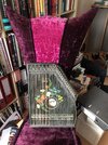IMG_4305.jpeg