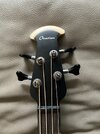 Ovation Bass32.JPG