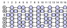IMG_2937.jpeg