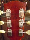 Headstock 2.JPG