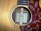 Sigma acoustic Schalloch Seriennr.JPG