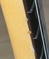 IMG_2891.jpeg