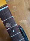 IMG_2959.jpeg