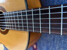 IMG_8571.jpeg