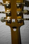 lespaul_8.webp