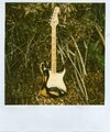 img041.jpg