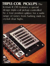 Ibanez Triple-coil pickups.png