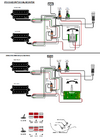 ibanez-rg5320-wiring-v0-5i75pl7r7qmd1.png