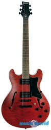 framus.jpg