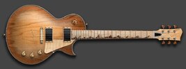 LP Design 05.jpg
