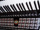 P1010700.jpg