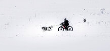 baerwinter.jpg