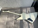 IMG_2365.jpeg