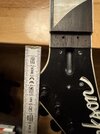 IMG_2573.jpeg