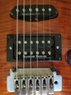 Fraumus Seymor Duncan II.jpg