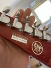 IMG_3622.jpeg