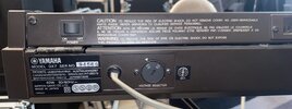 IMG_8165.jpeg