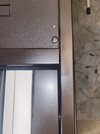 IMG_8167.jpeg