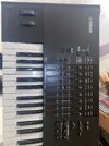 IMG_8186.jpeg