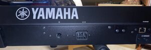IMG_8189.jpeg