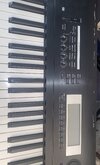 IMG_8149.jpeg