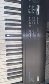 IMG_8150.jpeg