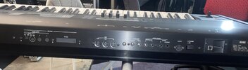 IMG_8153.jpeg
