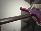 IMG_0903.jpeg