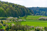 DSC05664_DxO.jpg