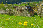 DSC05665_DxO.jpg