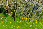 DSC05666_DxO.jpg