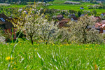 DSC05667_DxO.jpg