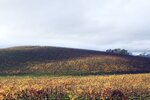 Bliss_location,_Sonoma_Valley_in_2006.jpg