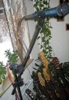 IMG_3538.JPG